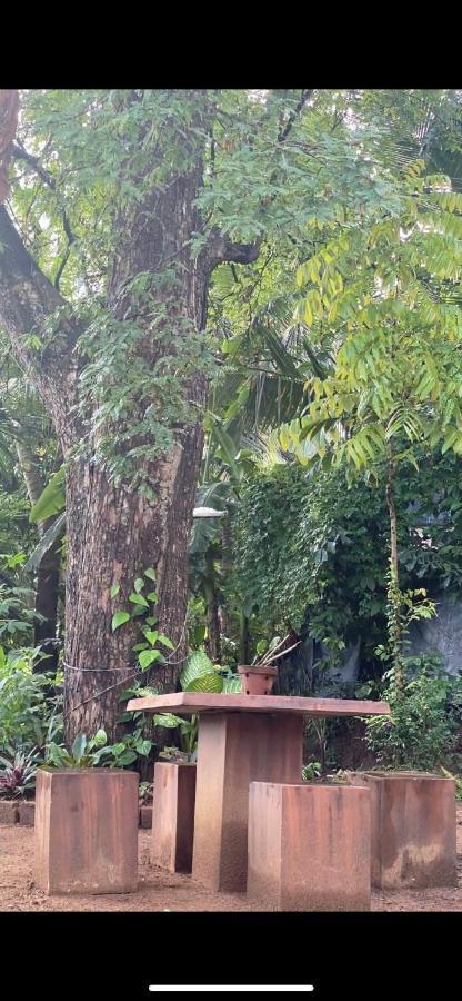 Pearl'S Homestay Matale Exterior foto